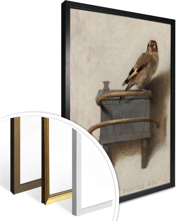 Immagine prodotto Trenddeko Il cardellino (50 x 60 cm)