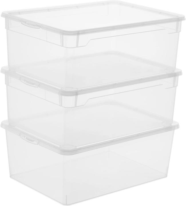 Rotho Cancella (36 x 26 x 14 cm, 10 l)
