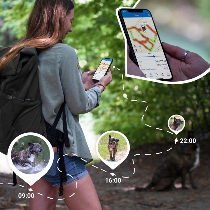 Produktbild Tractive Dog 4 GPS Tracker für Hunde (Katze, Hund, Spazieren)