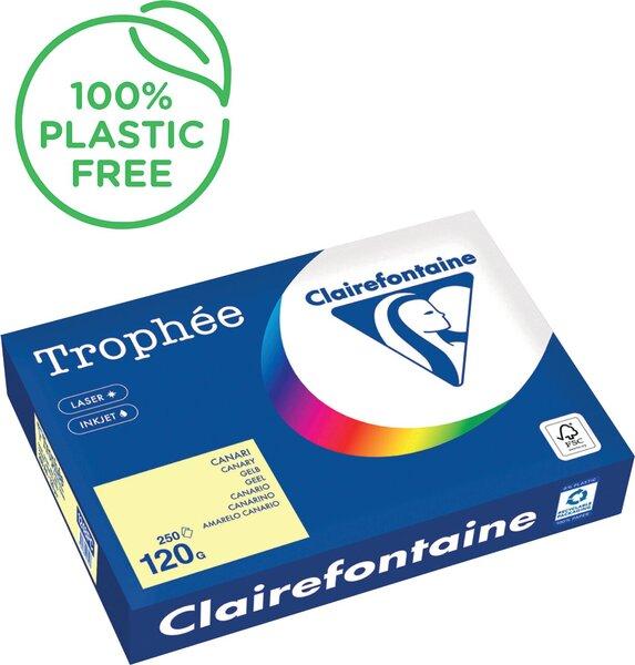 Immagine prodotto Clairefontaine Carta universale colorata (120 g/m², 250 x, A4)