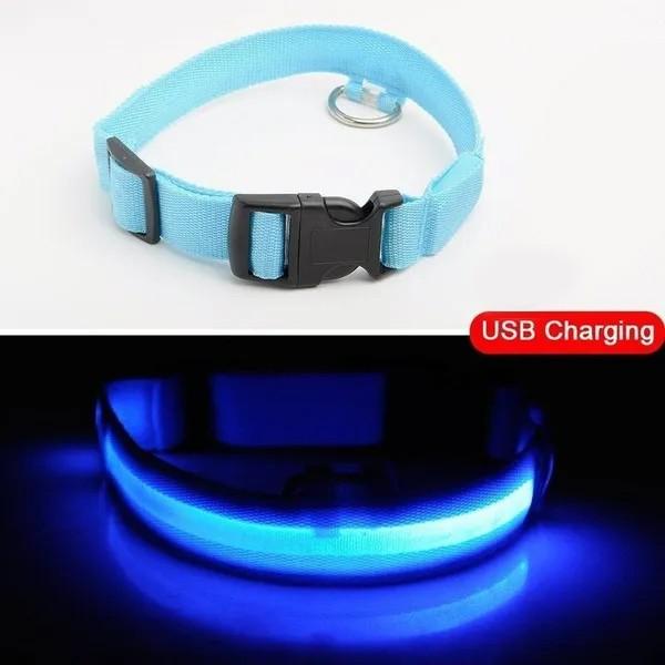 Actual product image Cbx Rechargeable LED dog collar size L - 46-50cm (L, Dog)