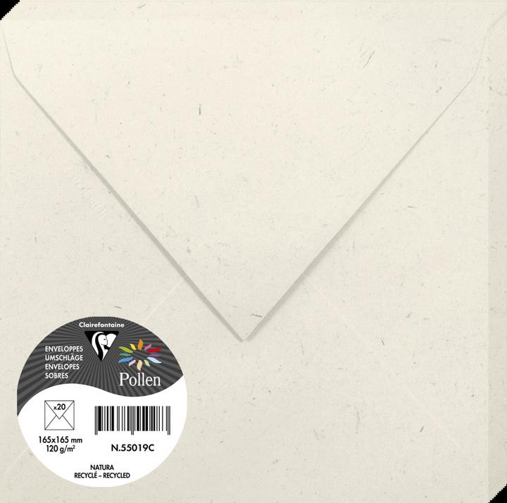 Image du produit Pollen Enveloppes (165 x 165 mm, 4800 x)