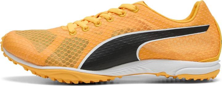 Image du produit Puma evoSPEED Haraka 8 Unisex Spikeless (47)