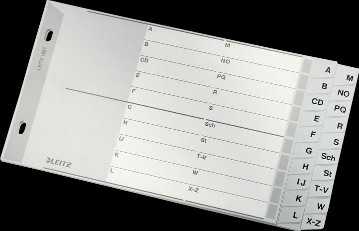 Leitz Register PP grey