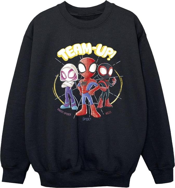 Produktbild Spidey And His Amazing Friends Sketch Sweatshirt Mädchen (116)