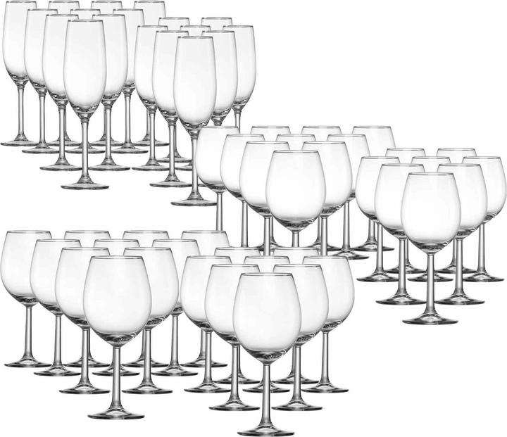 Ritzenhoff & Breker Vio 4Gastro Wein- / Sektgläser-Set (54 Gläser, Weingläser Set)