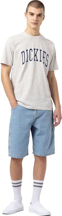 Actual product image Dickies Garyville Denim Shorts (28)
