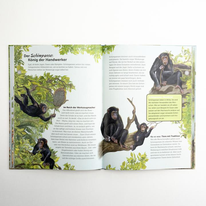 Produktbild Rotfuchs Die Werkzeugkiste der Tiere (Deutsch, Angelika Huber-Janisch, 2024)