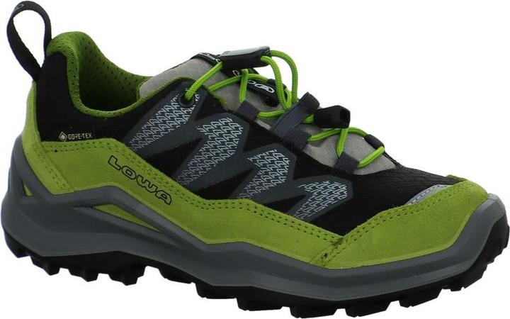Image du produit Lowa Maddox Pro GTX LO (26)