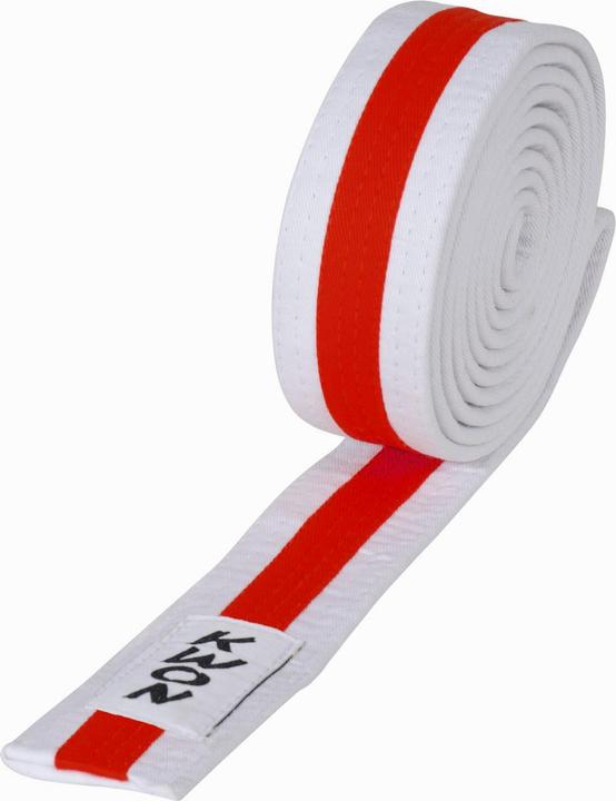 Actual product image Kwon Child budō belt