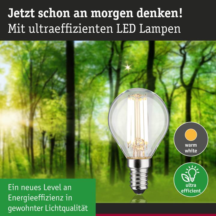 Actual product image Paulmann Tropfen Eco-Line (E14, 4 W, 840 lm, 1 x, A)