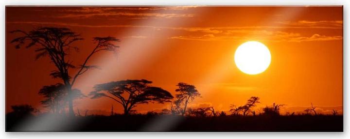 Produktbild Trenddeko Afrikanische Steppe - Panorama (80 x 30 cm)