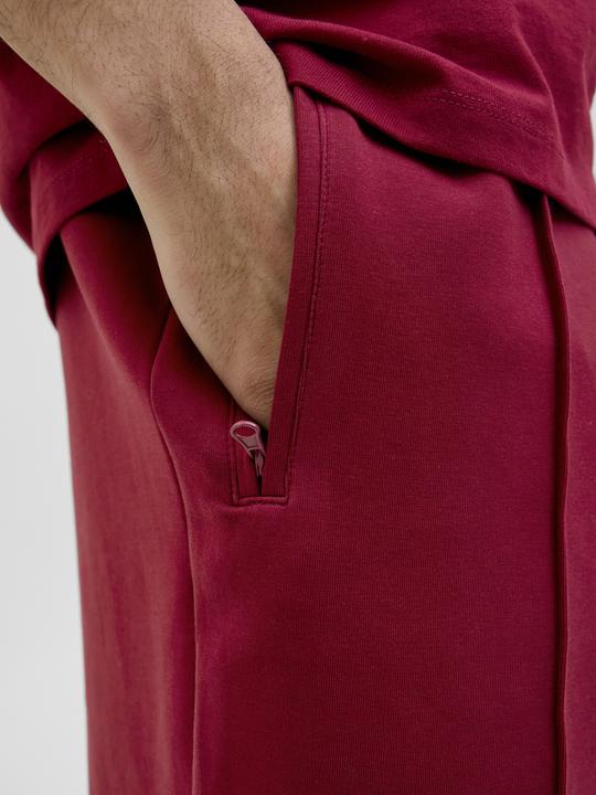 Image du produit Jack & Jones Jpstbill Fletcher Shorts C Org Styd Ss25 (L)