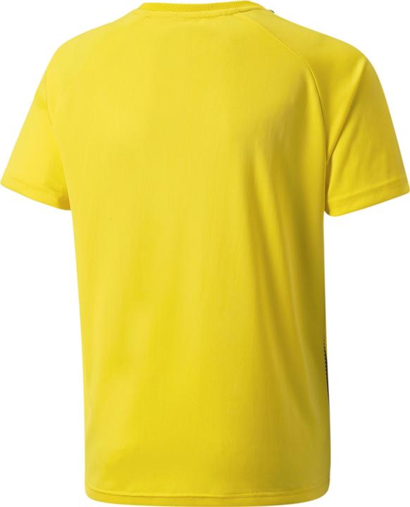 Immagine prodotto Puma maglia a righe teamLIGA Jr-704927 (116)