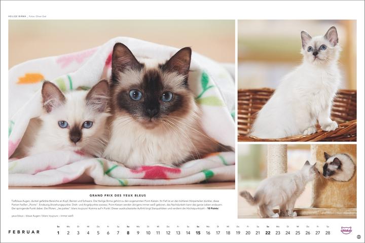 Produktbild Whiskas Katzenkalender 2026 (45 x 30 cm, Harter Einband, Deutsch)