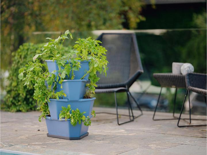 Actual product image Gusta Garden Rearing pots PAUL POTATO Starter, 4 tiers, blue-grey (38.80 cm)