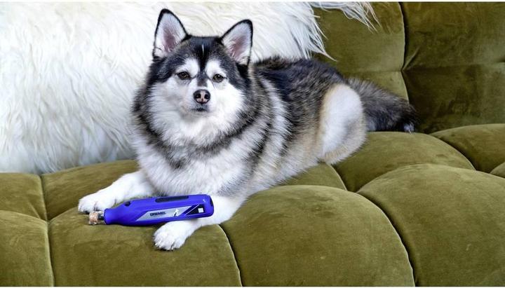Produktbild Dremel Krallenpflegeset für Haustiere (Hund)