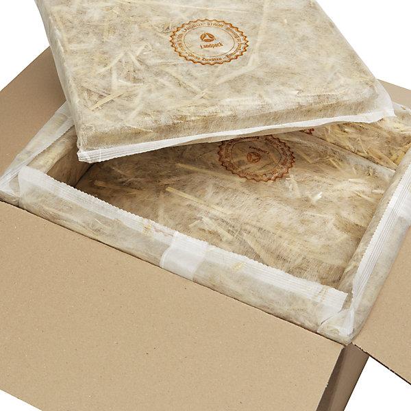 Actual product image kaiserkraft Thermobox terra - Landbox® (102 x)