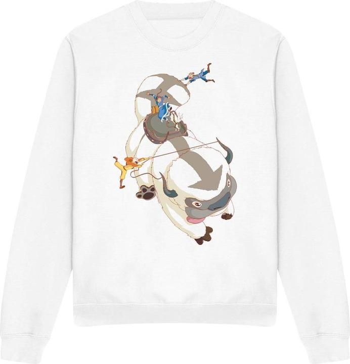 Produktbild Avatar: The Last Airbender Hang On Sweatshirt (M)