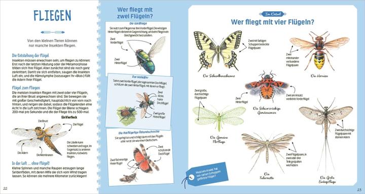 Produktbild Das grosse Buch der kleinen Tiere (Deutsch, Nathalie Tordjman, Emmanuelle Tchoukriel, Julien Norwood, 2022)