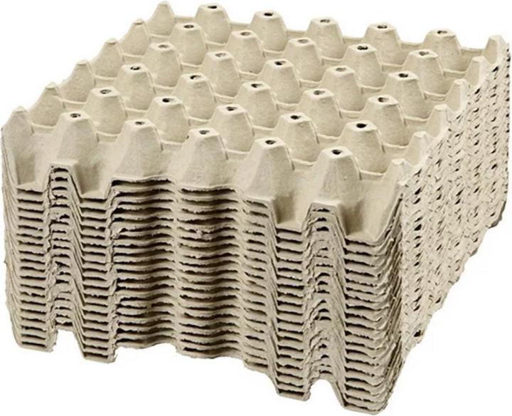 Actual product image Creativ Company Egg tray