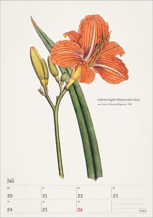 Actual product image Harenberg Bunte Pflanzenwelt Wochenplaner 2026 - 53 historische Illustrationen (Hardcover, German)