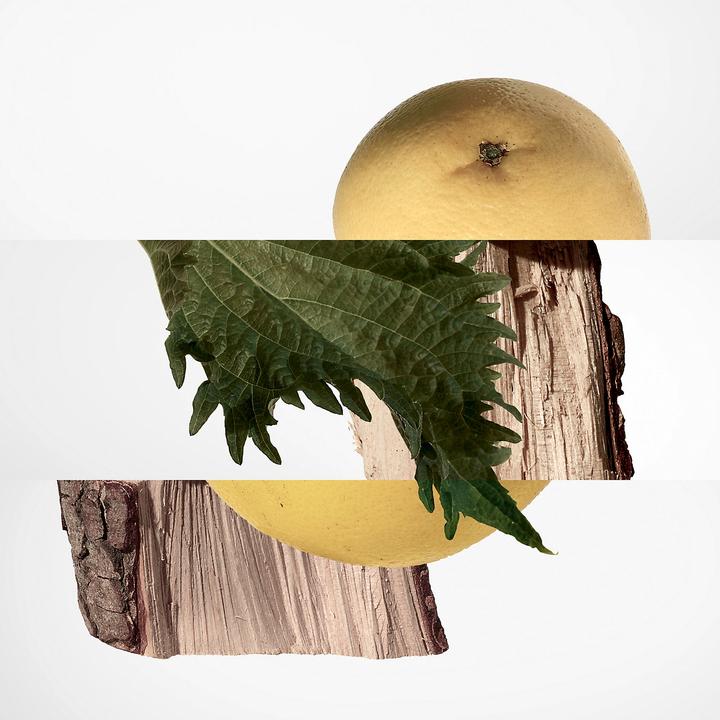 Actual product image Hermès Terre d' (Eau de parfum, 200 ml)
