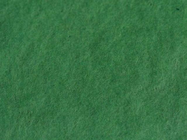 Immagine prodotto Werola Carta velina verde abete, 24 fogli 50x75cm (19 g/m², 20 x)