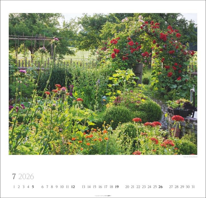 Produktbild Bauerngärten Kalender 2026 (48 x 46 cm, Englisch, Deutsch)
