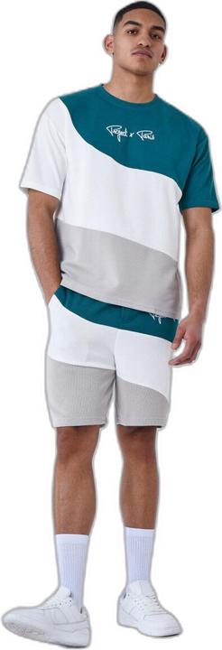 Actual product image Project X Paris Tricolor shorts (XL)