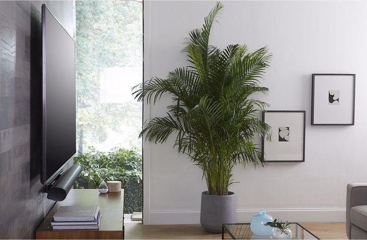 Image du produit Sanus Wandhalterung für Sonos ARC, ausziehbar (1 pièce, Installation murale)