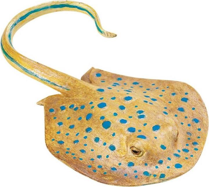 Produktbild Safari Blaupunktrochen
