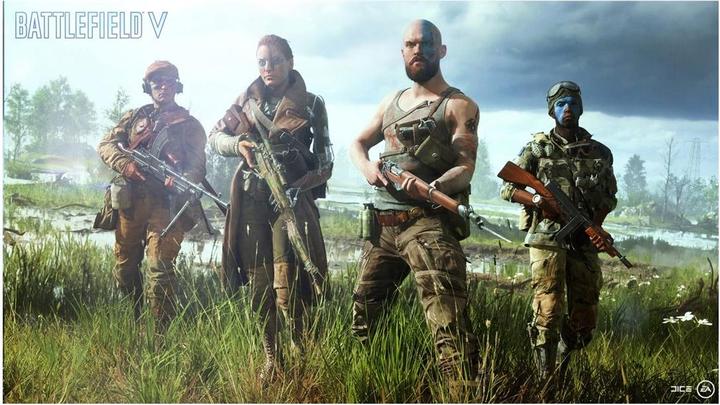 Actual product image EA Games Battlefield V (PS4, Multilingual)