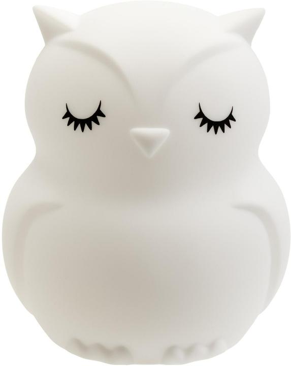 Actual product image Cocon Eule