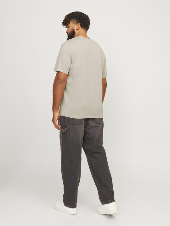 Actual product image Jack & Jones Jjelegacy Blocking Tee Ss O-Neck Noo Pls (4XL)
