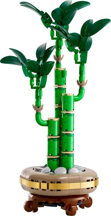 Productafbeelding LEGO Glücks-Bambus (10344, LEGO Icons)