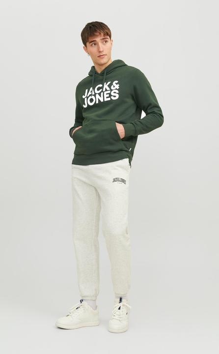 Immagine prodotto Jack & Jones Felpa con cappuccio con logo (S)