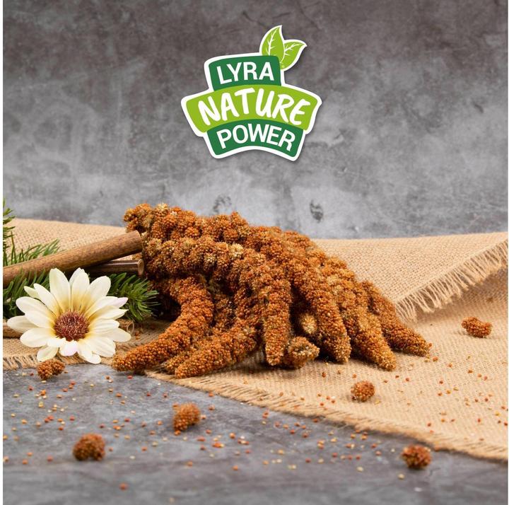 Immagine prodotto Lyra Pet Miglio coda di volpe (1 x, 1 kg)