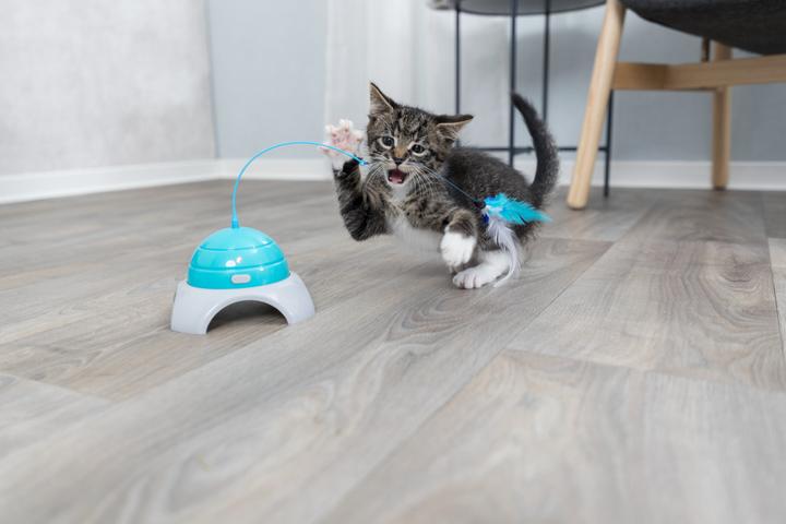 Produktbild Trixie Catch Me (Katzenminzespielzeug)