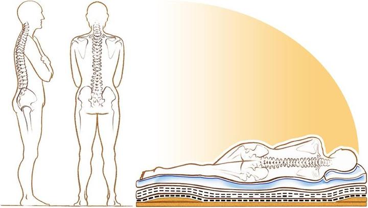 Image du produit Europe & Nature Matelas (140 x 200, Noyau en latex)