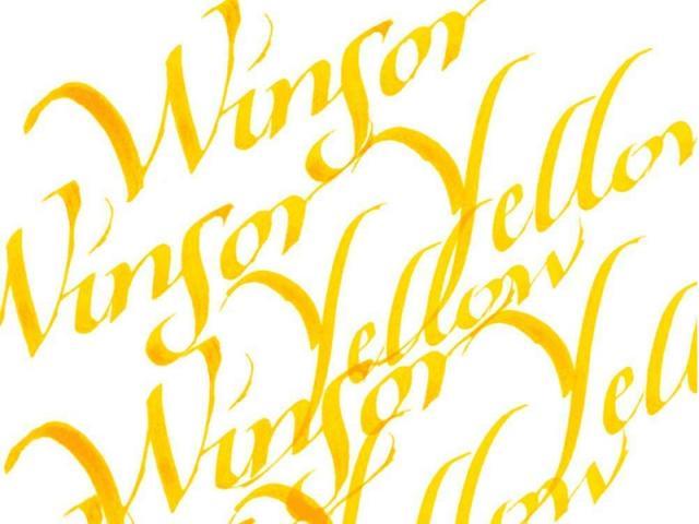 Immagine prodotto Winsor & Newton Inchiostro Calligraphy Ink winsor (Calamaio)