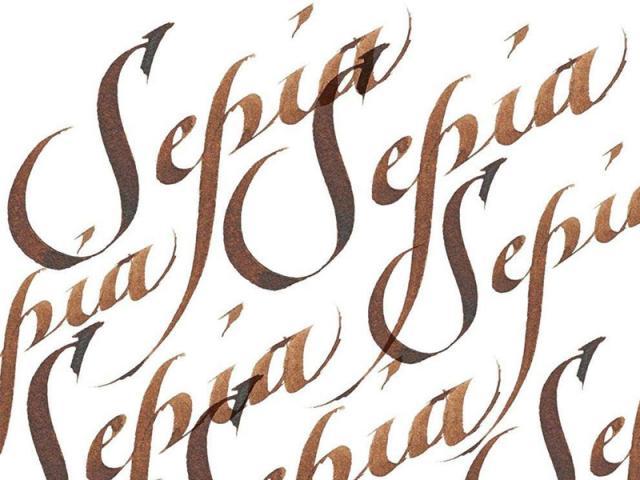 Actual product image Winsor & Newton Ink Calligraphy Ink sepia (Inkwell, Brown)