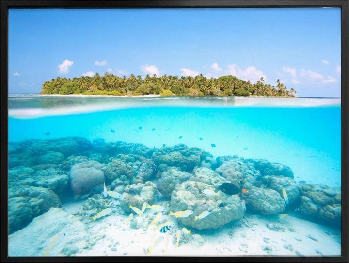 Produktbild Trenddeko Unterwasserwelt der Malediven (80 x 60 cm)