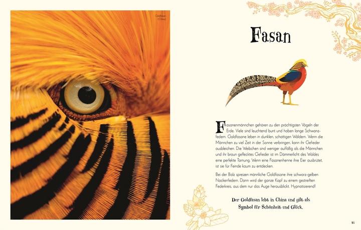 Produktbild Wundervolle Welt der Tiere (Deutsch, Ben Hoare, 2019)