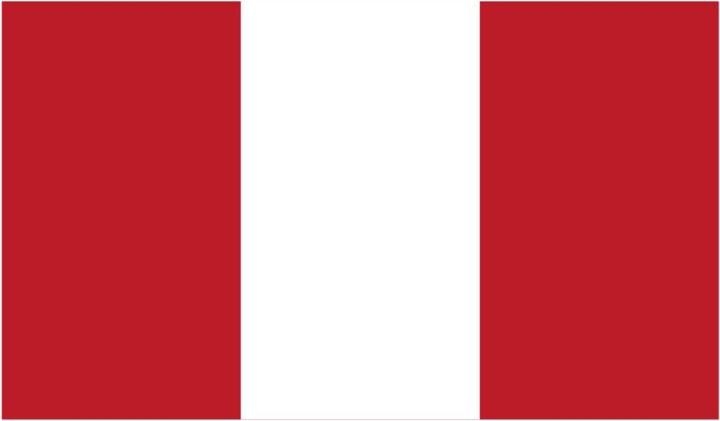 Actual product image Bügelbilder Bügelbild Peru Flagge