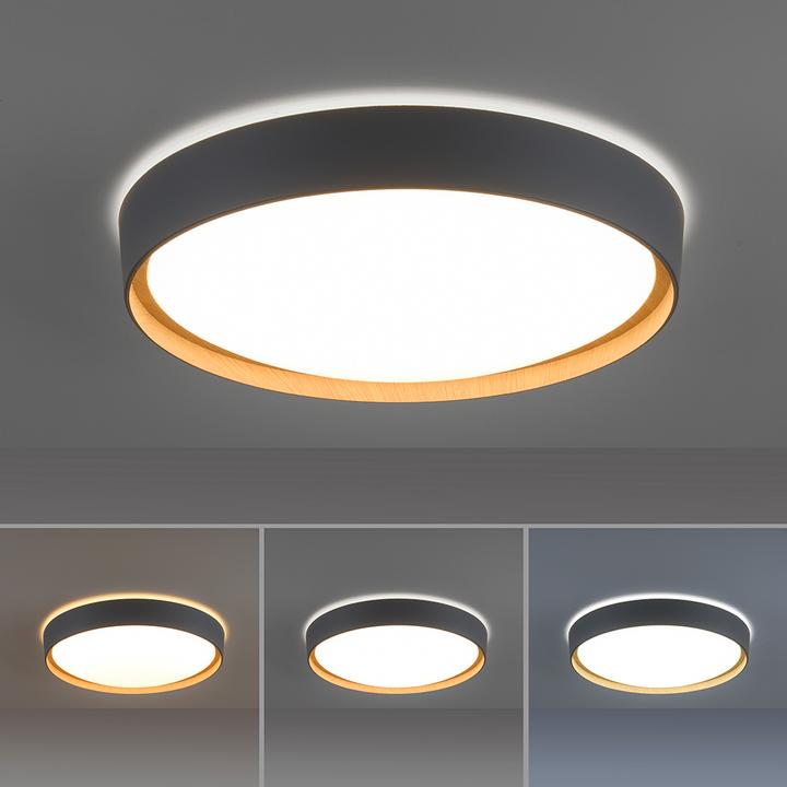 Produktbild Neuhaus NEUH LED-Deckenleuchte LB22 (1500 lm)