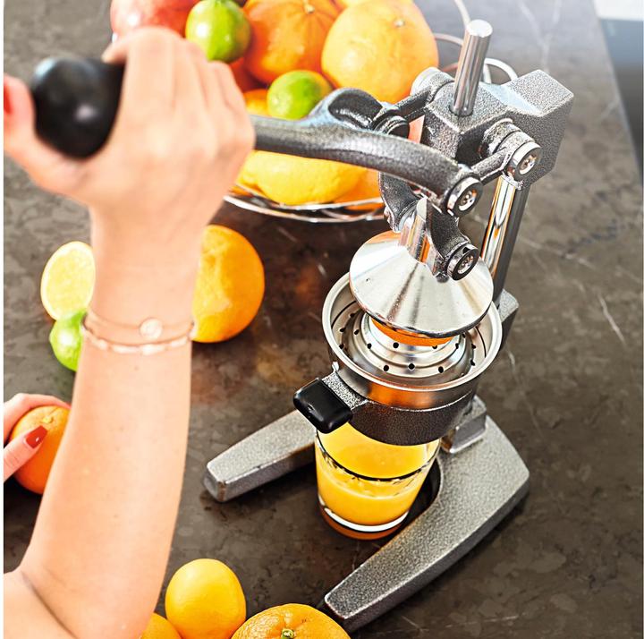 Produktbild Lumaland Saftpresse