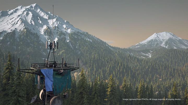 Produktbild Sony Days Gone (PS4, IT, EN)