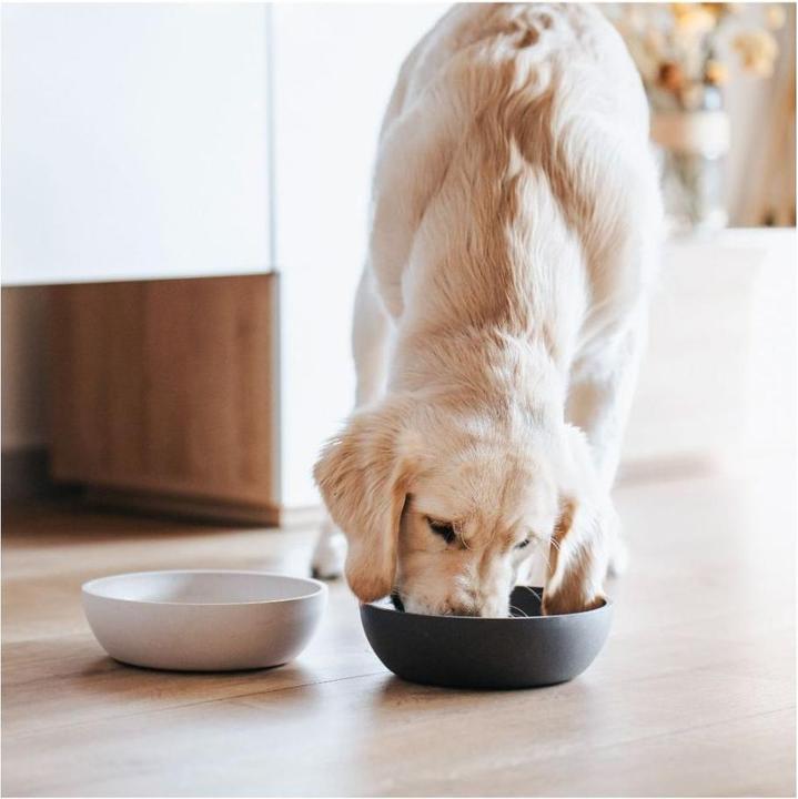 Image du produit District 70 Gamelle pour chien en bambou (1.60 l)