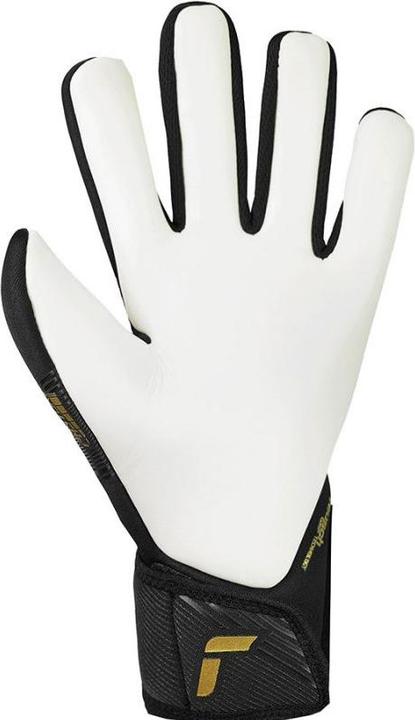 Produktbild Reusch Fastgrip Silber Torwarthandschuhe (9)